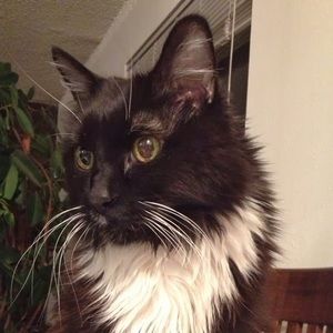 Meet your Posher, Brandy